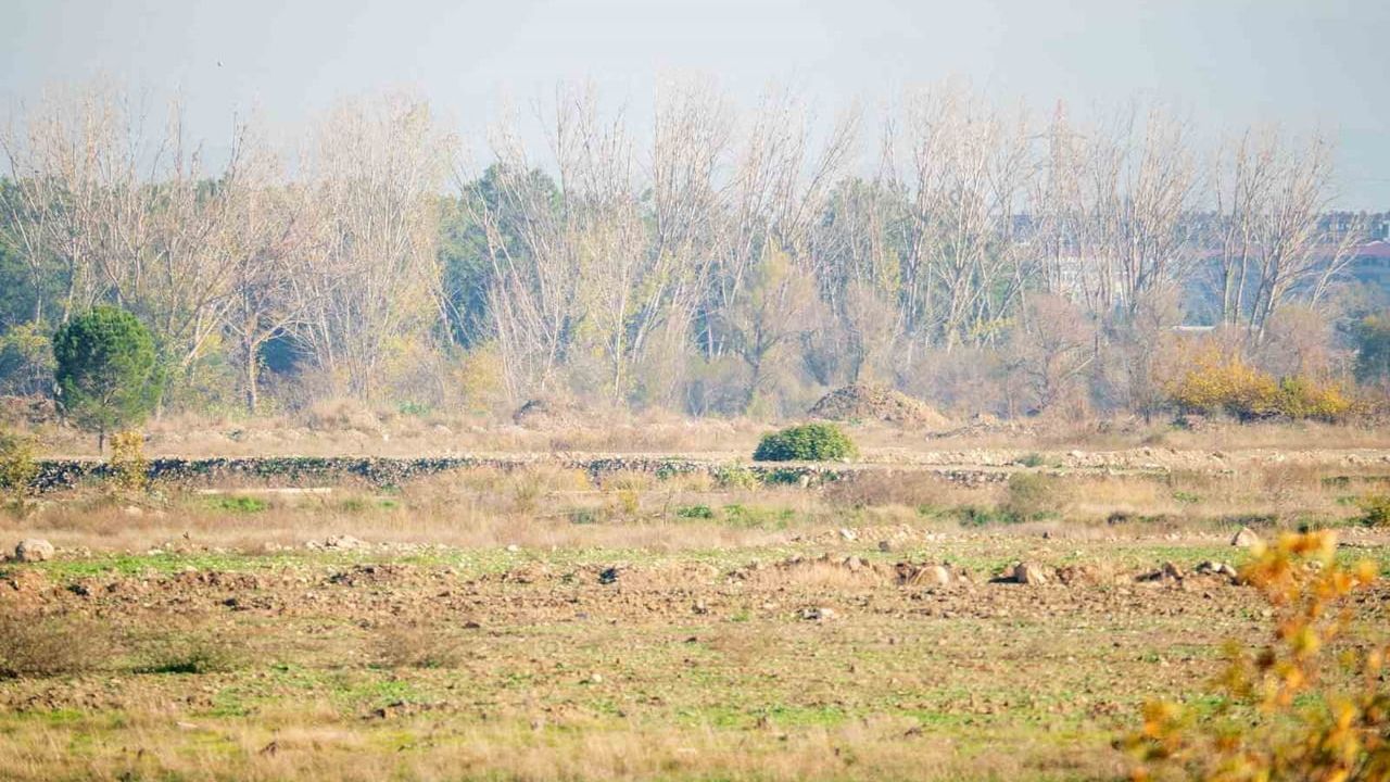 Manisa OSB Başkanı Sait Türek, BYD fabrikası yatırımındaki gecikmeyi değerlendirdi