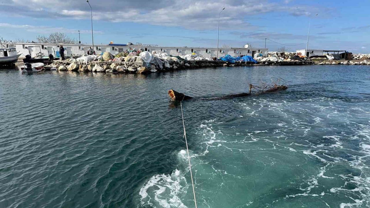Marmara Denizi'nde Deniz Trafiğini Tehdit Eden Yüzen Ağaç Kıyıya Çekildi