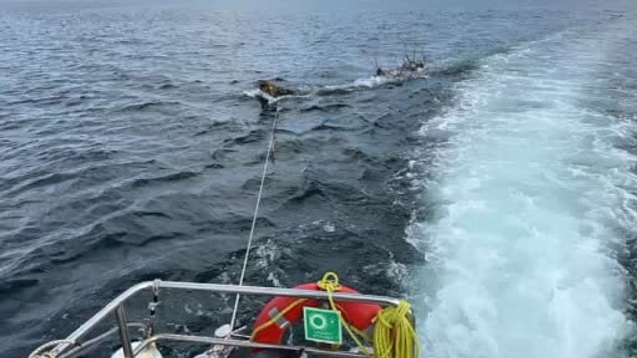 Marmara Denizi'nde feribot güzergâhında yüzen ağaç kıyıya çekildi