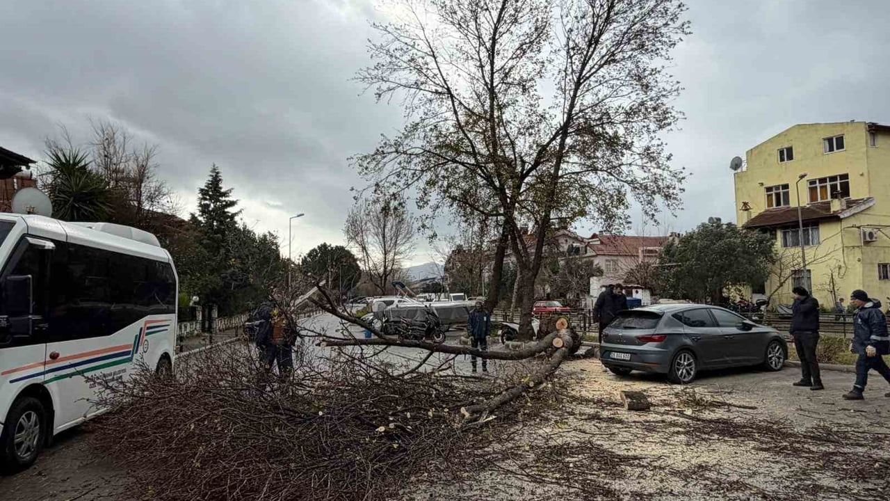 Marmaris’te kuvvetli fırtına ve sağanak: elektrik arızaları, devrilen ağaçlar ve ulaşıma etkiler