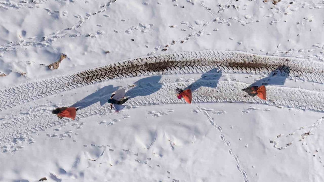 Mazıdağı’nda karlı yollar: Kadınlar sırtlarında samanla kış mücadelesi veriyor