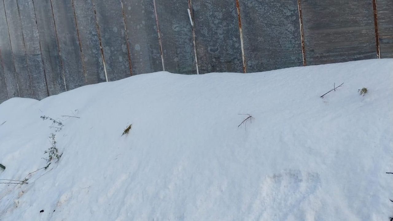Mersin'de dolu seralara ve bahçelere zarar verdi: Anamur ve Aydıncık etkili oldu