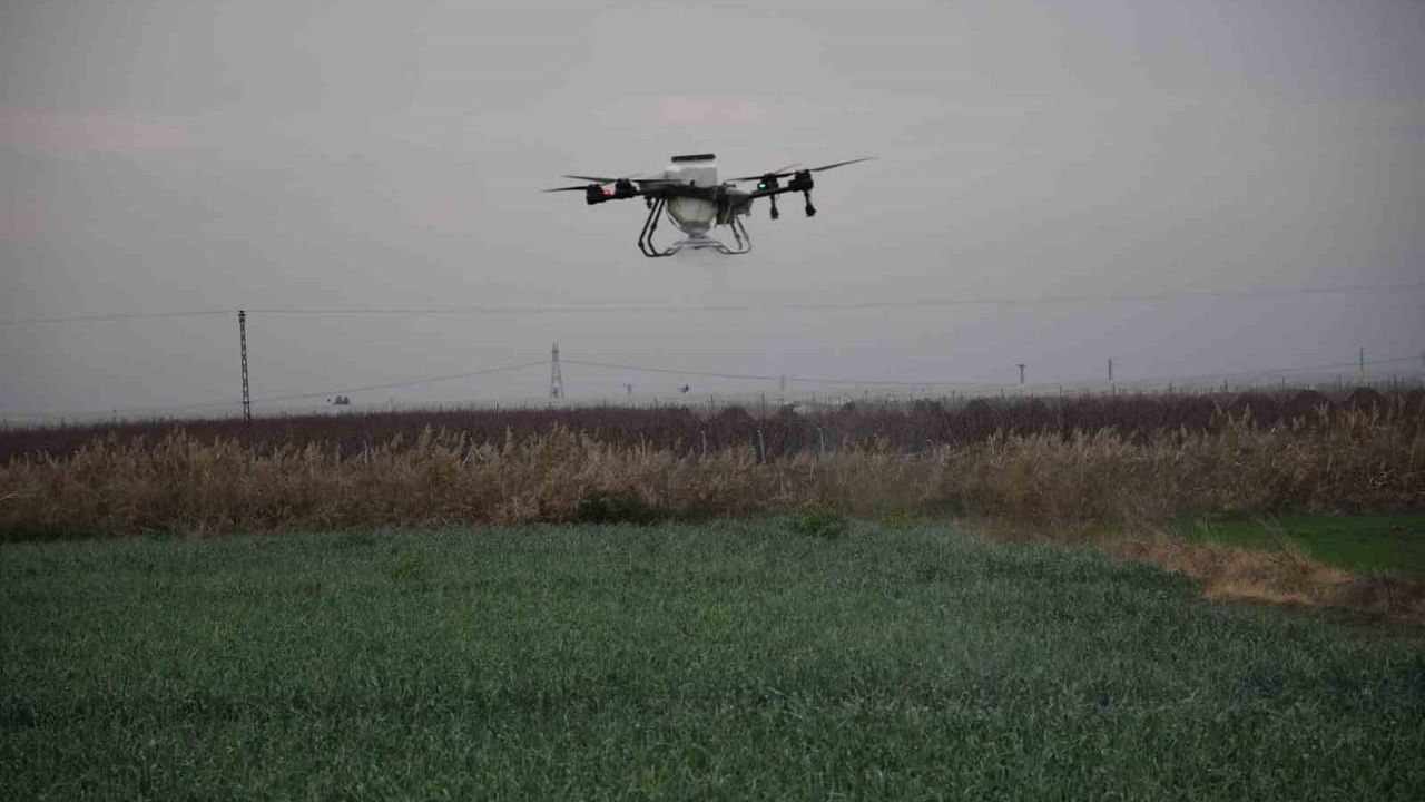 Mersin'de dronla gübreleme ve ilaçlama çiftçiye zaman ve maliyet tasarrufu sağlıyor