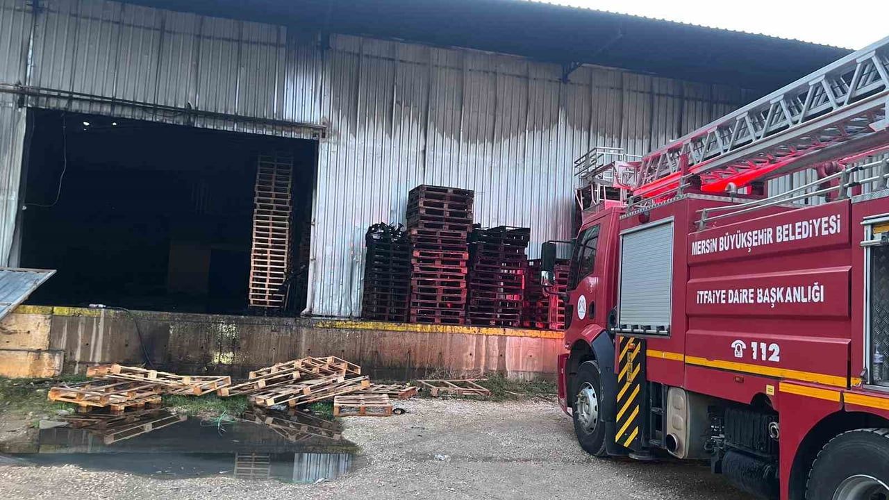 Mersin'de narenciye fabrikasının paketleme bölümünde yangın — itfaiye kısa sürede söndürdü