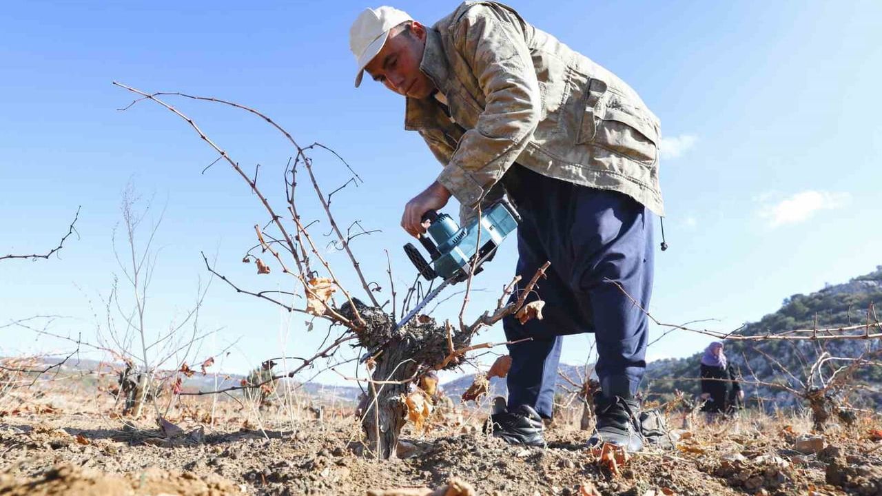 Mersin’de Organik Tarım Sertifikasyon Desteğiyle Üretim Doğallaşıyor