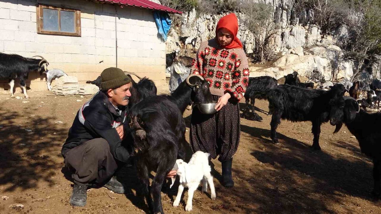 Mersinli Yörük kızı üniversite sonrası köye dönüp baba mesleğini sürdürüyor