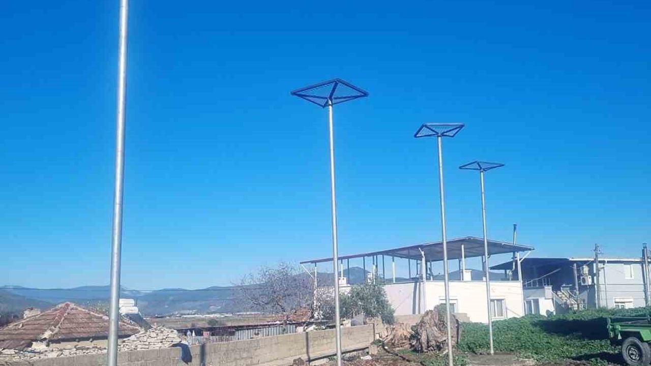 Milas Ekinanbarı'nda leylekler için güvenli yuva alanları oluşturuldu