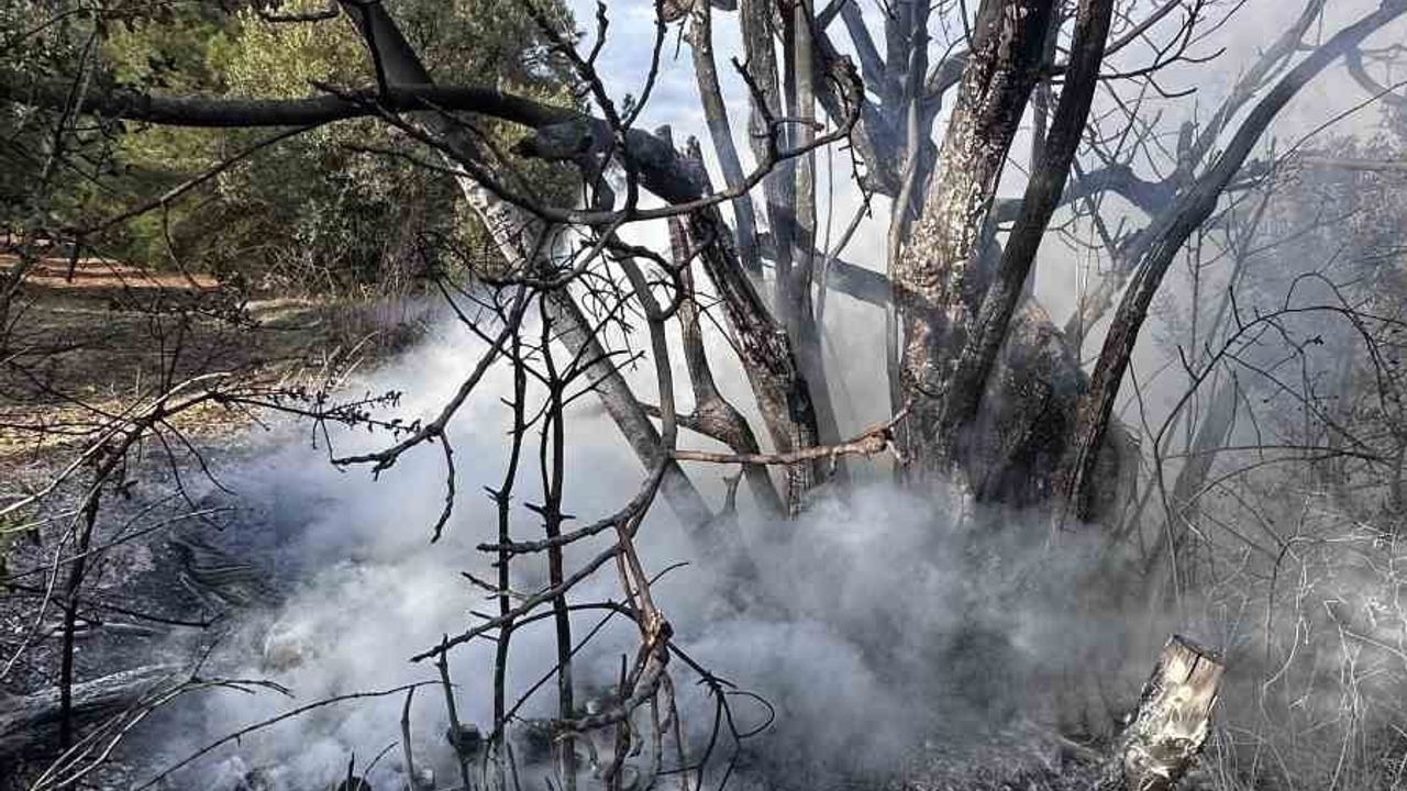 Mudanya Aydınpınar Kılıçbayır'da çalı yangını itfaiye müdahalesiyle söndürüldü