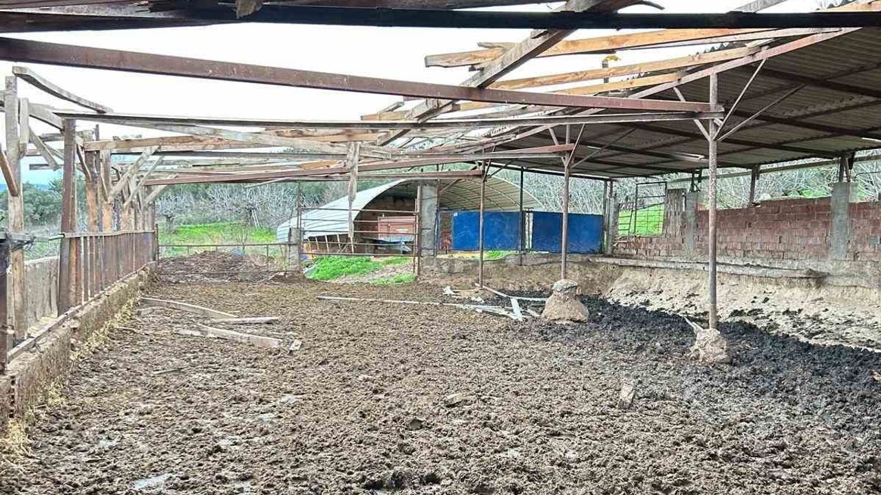 Mudanya'da lodos ve yangın: Haskö'de sobadan çıktığı değerlendirilen ev yangını, Mürselköy'de ağaç ve çatı hasarı