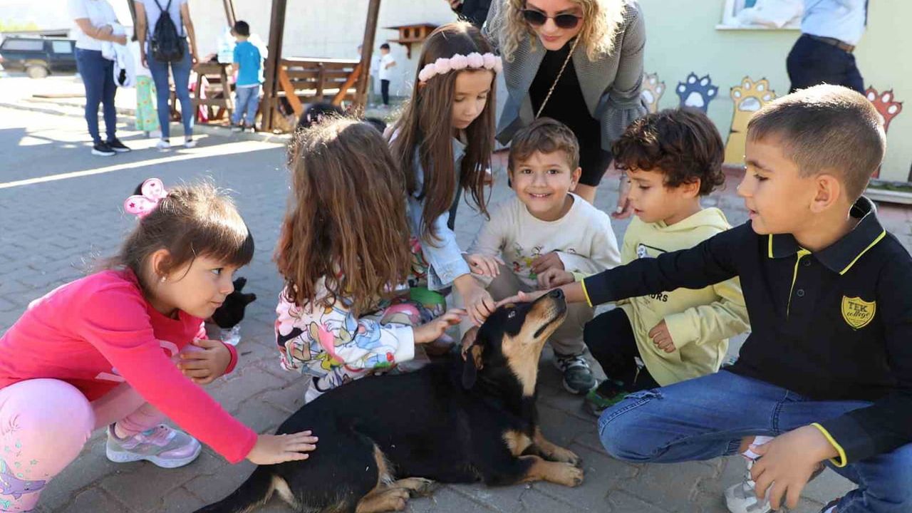 Muğla Büyükşehir Hayvan Bakımevi 4 bin 34 can dostu sahiplendirdi