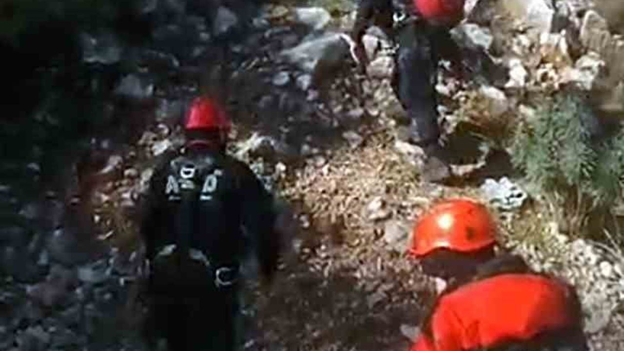 Muğla'da AFAD ekipleri Ula Kıyra'da mahsur kalan iki keçi için operasyon düzenledi