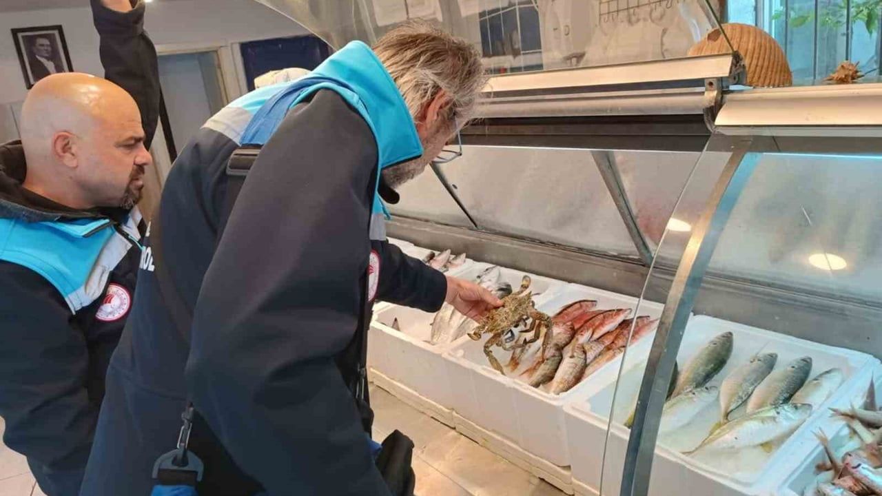 Muğla'da eş zamanlı denetimlerde 6 işletmeye 379 bin 176 TL idari para cezası uygulandı