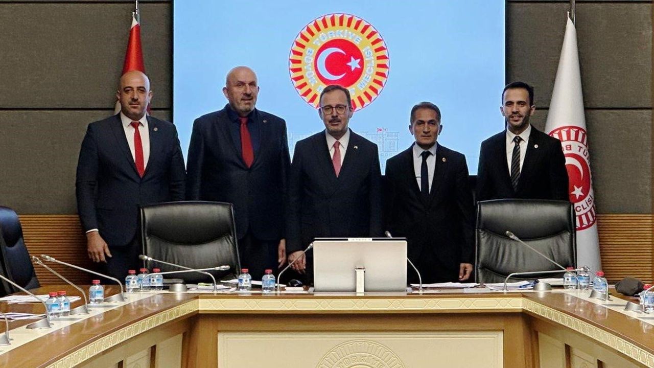 Muhtarlar TBMM'de Engelli Bireylerin Yerel Sorunlarını Komisyona İletti