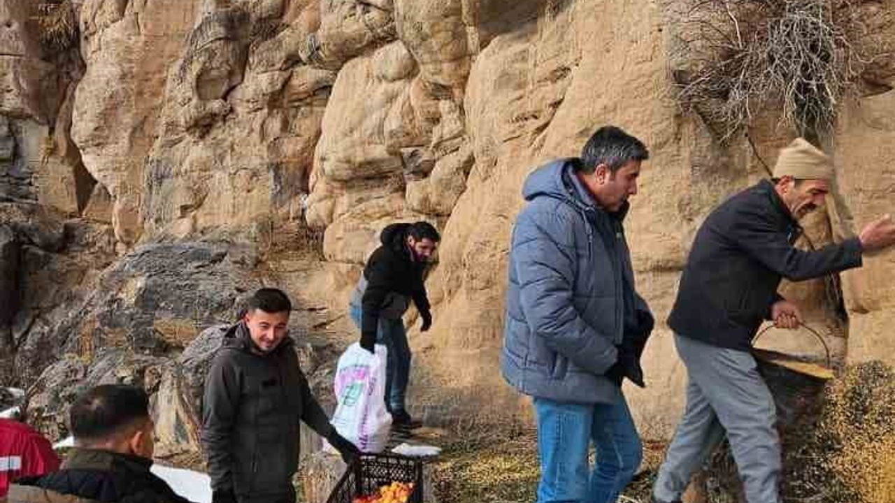 Muradiye'de kış şartlarına karşı yaban hayvanlarına yem bırakıldı