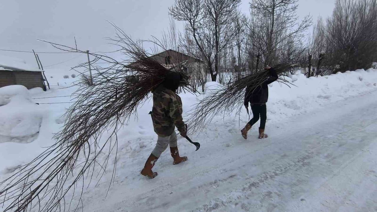 Muş'ta küçükbaş besiciler söğüt dallarıyla yem maliyetini azaltıyor