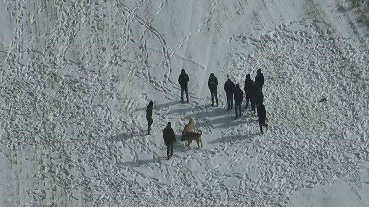 Nevşehir'de Avanos'ta drone ile tespit edilen köpek dövüşü organizasyonuna jandarma müdahalesi