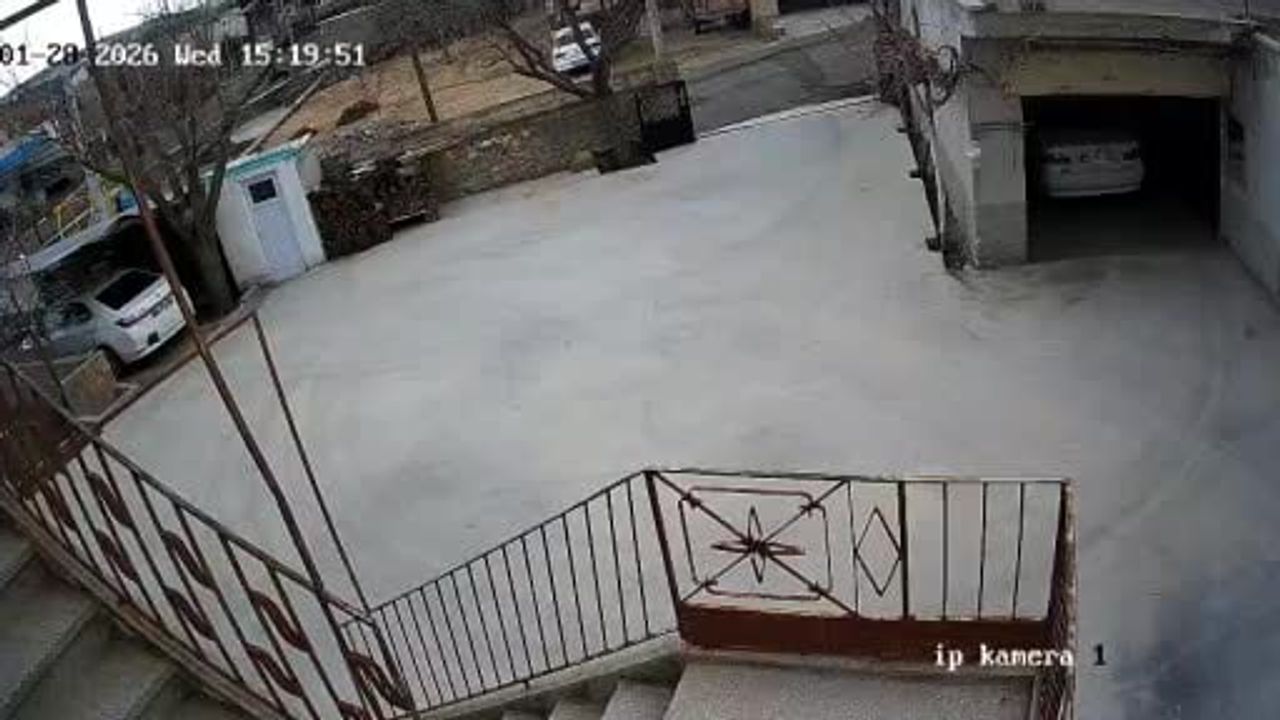 Nevşehir Sulusaray'da tilki bahçeye girip onlarca tavuğu telef etti