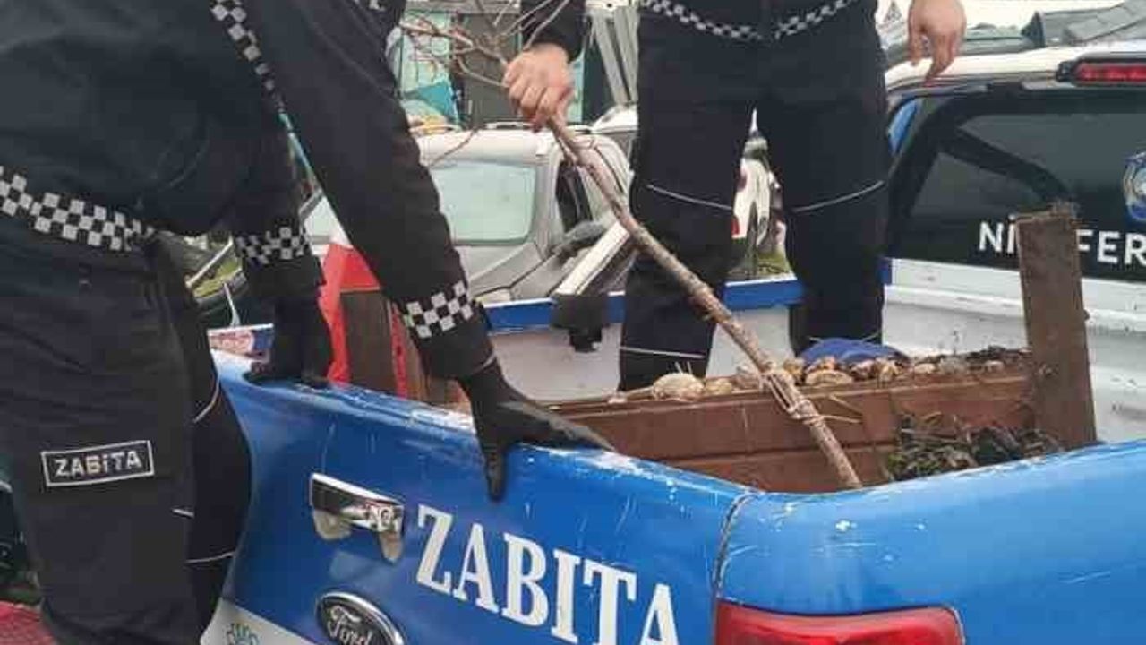 Nilüfer Belediyesi kaldırımları duba ve tabelalardan arındırdı