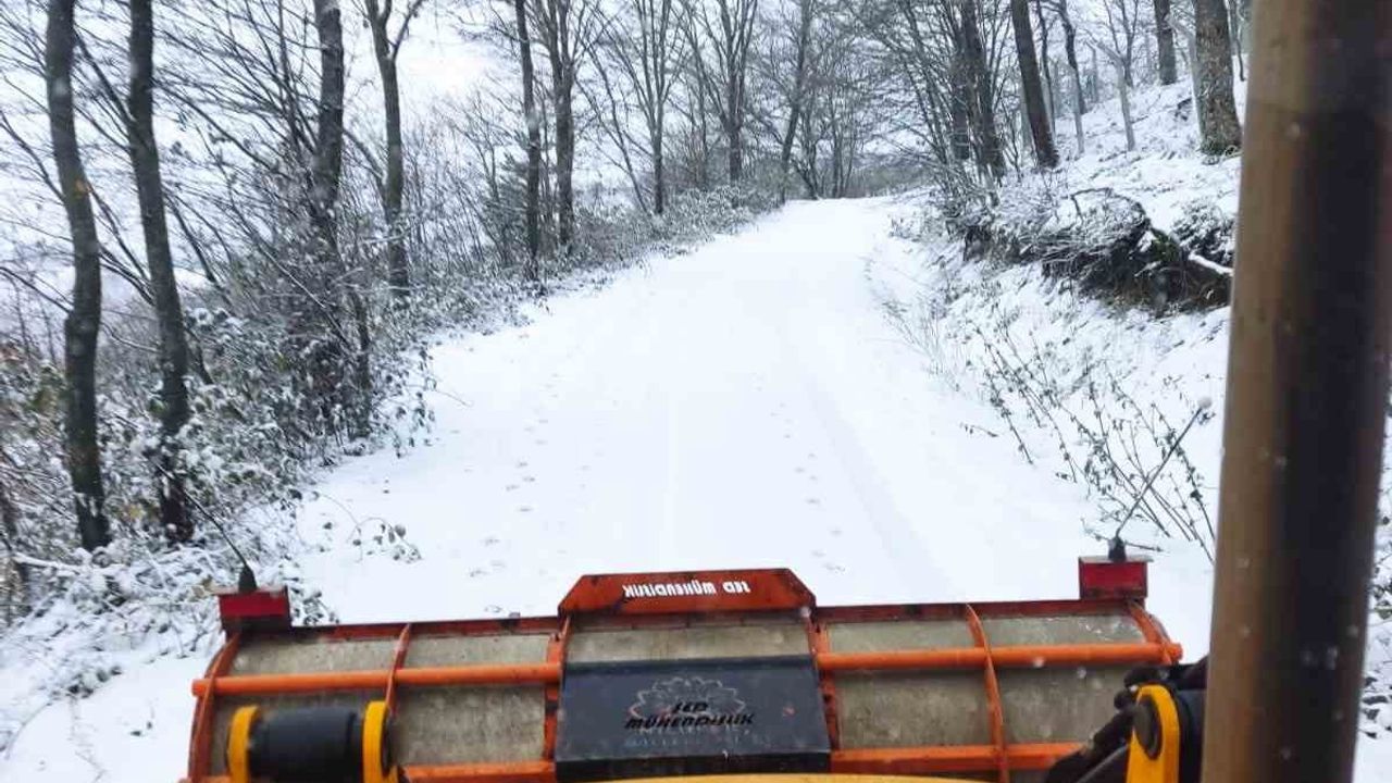 Nilüfer'de kar mesaisi: 31 Aralık-1 Ocak'ta ulaşım ve sağlık öncelikli müdahale