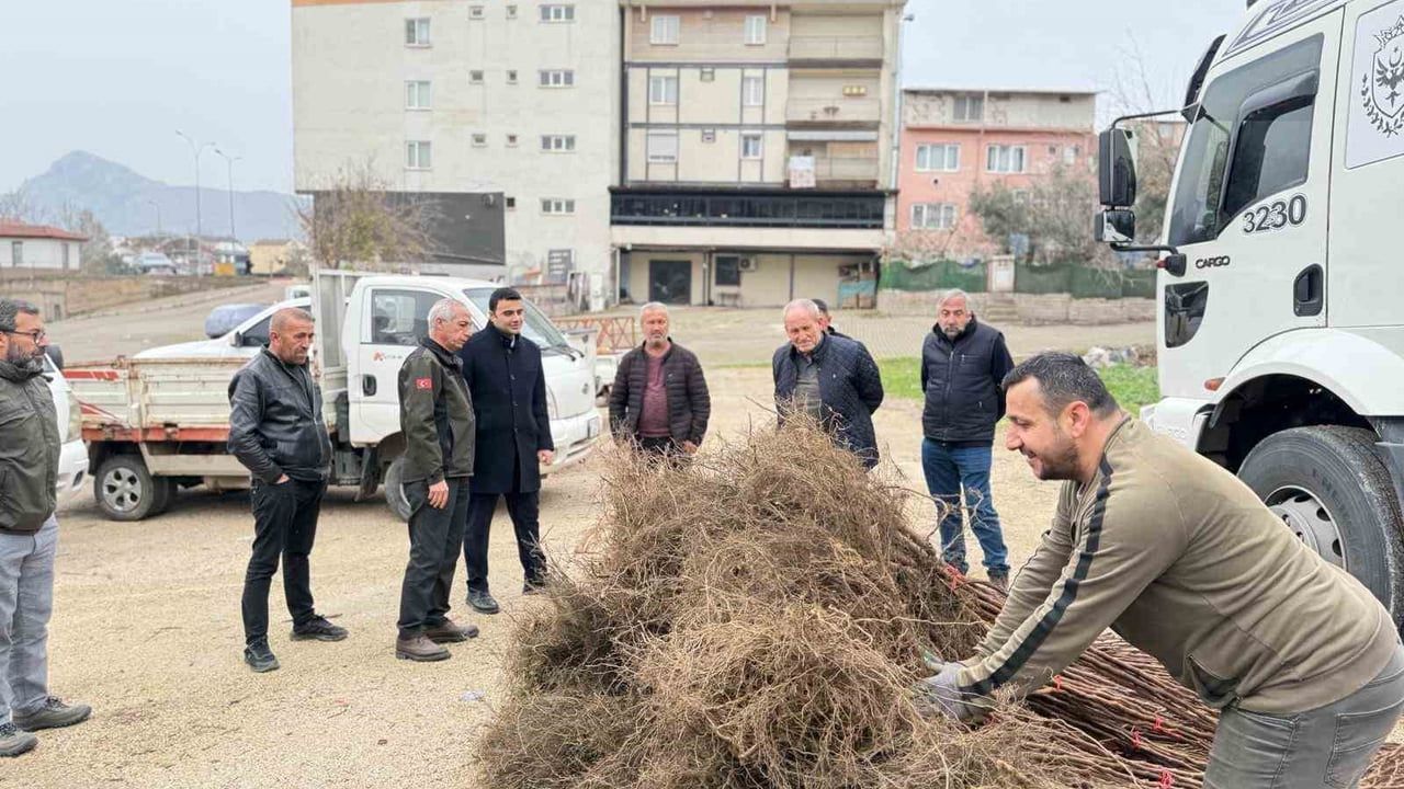 Osmaneli'de çiftçilere 3 bin 480 meyve fidanı desteği