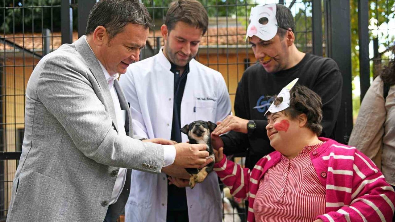 Osmangazi Belediyesi sahipsiz hayvanlara kapsamlı bakım ve dijital sahiplendirme sunuyor