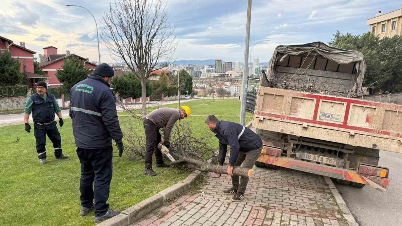 Osmangazi'de lodos zarar verdi: Devrilen ağaçlara ekipler anında müdahale etti