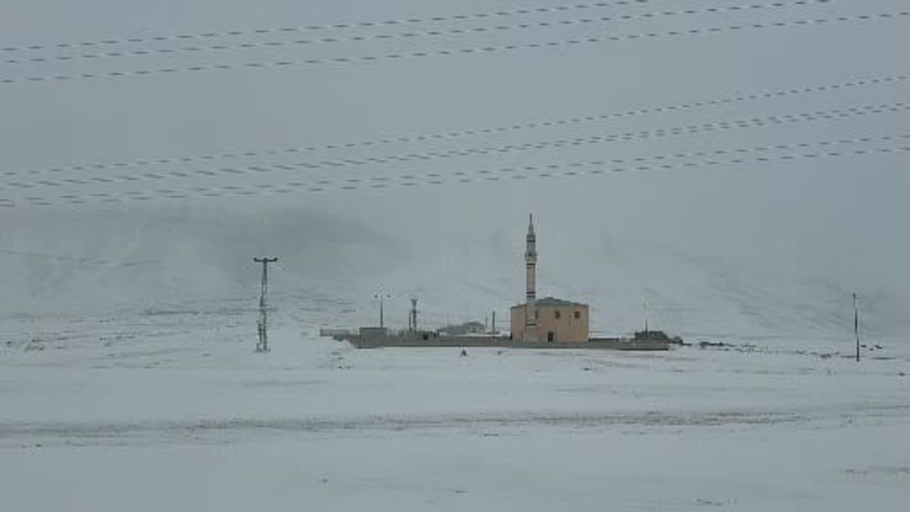 Pamuk Geçidi'nde yoğun kar ve sis ulaşımı olumsuz etkiledi