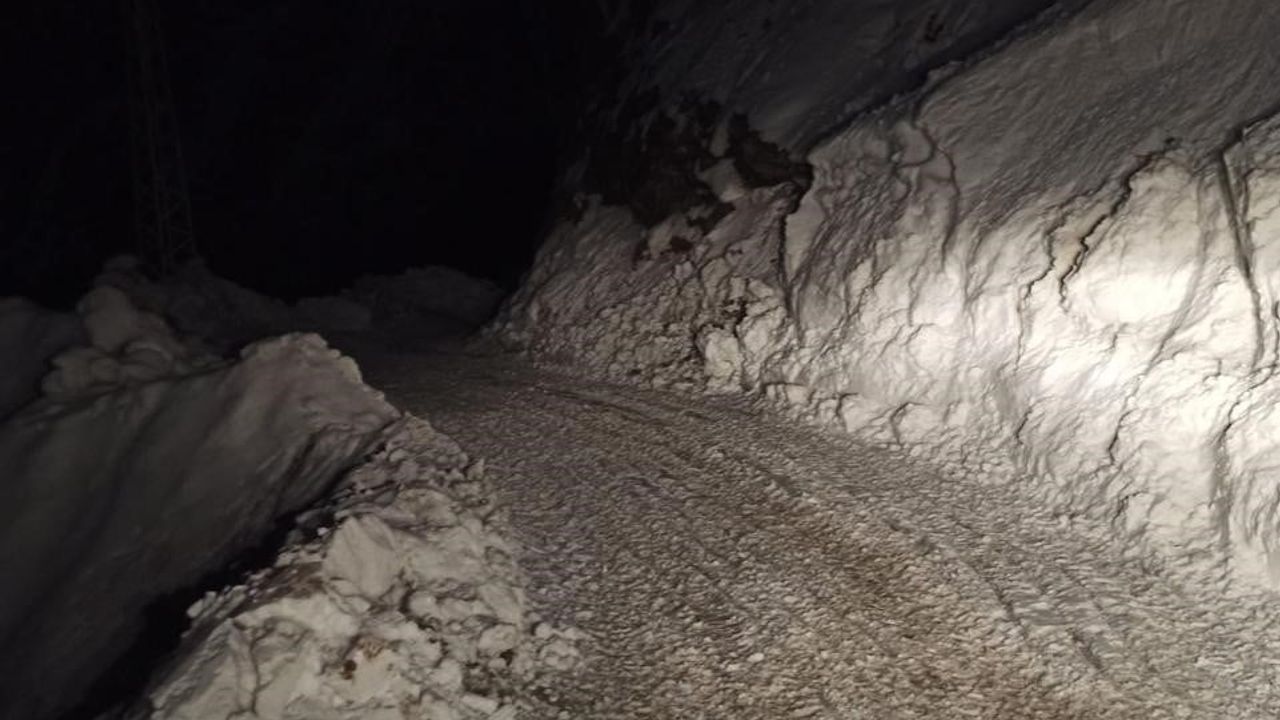 Pervari’de çığın etkilediği Gözlükuyu–Karşıyaka yolu 3 saatte ulaşıma açıldı