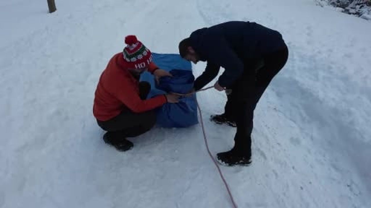 Rize'de gençlerin kar eğlencesi: Brandayla kaydıkları anlar Sivrikaya Yaylası'nda renkli görüntüler oluşturdu