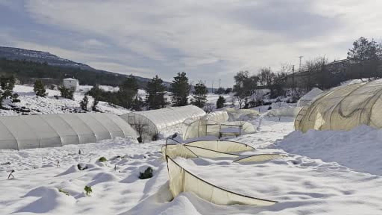 Safranbolu Konarı Köyü'nde yoğun kar seraları yıktı: Çiftçiler yüzbinlerce TL zarar etti
