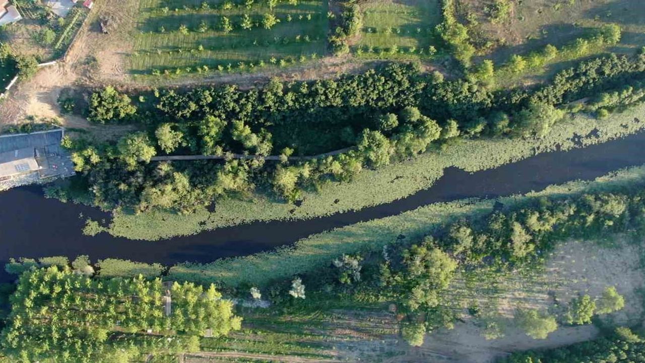 Sakarya'da iki yeşil destinasyon 2025'te 605 bin ziyaretçiyi ağırladı