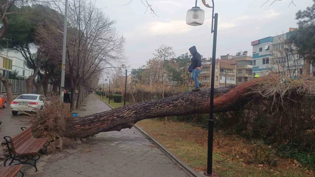 Salihli'de kuvvetli fırtına: Ağaçlar devrildi, çatılar uçtu, bir kişi yaralandı