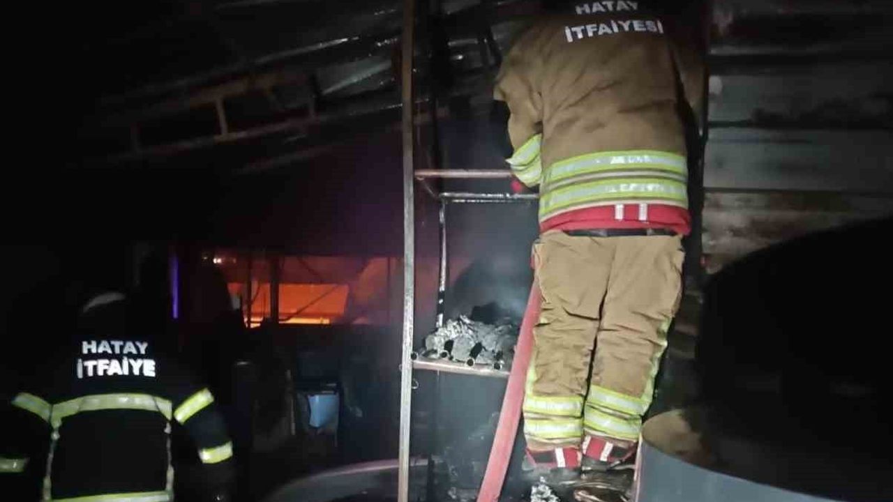 Samandağ'da odunluk yangını itfaiye ekipleri tarafından büyümeden söndürüldü