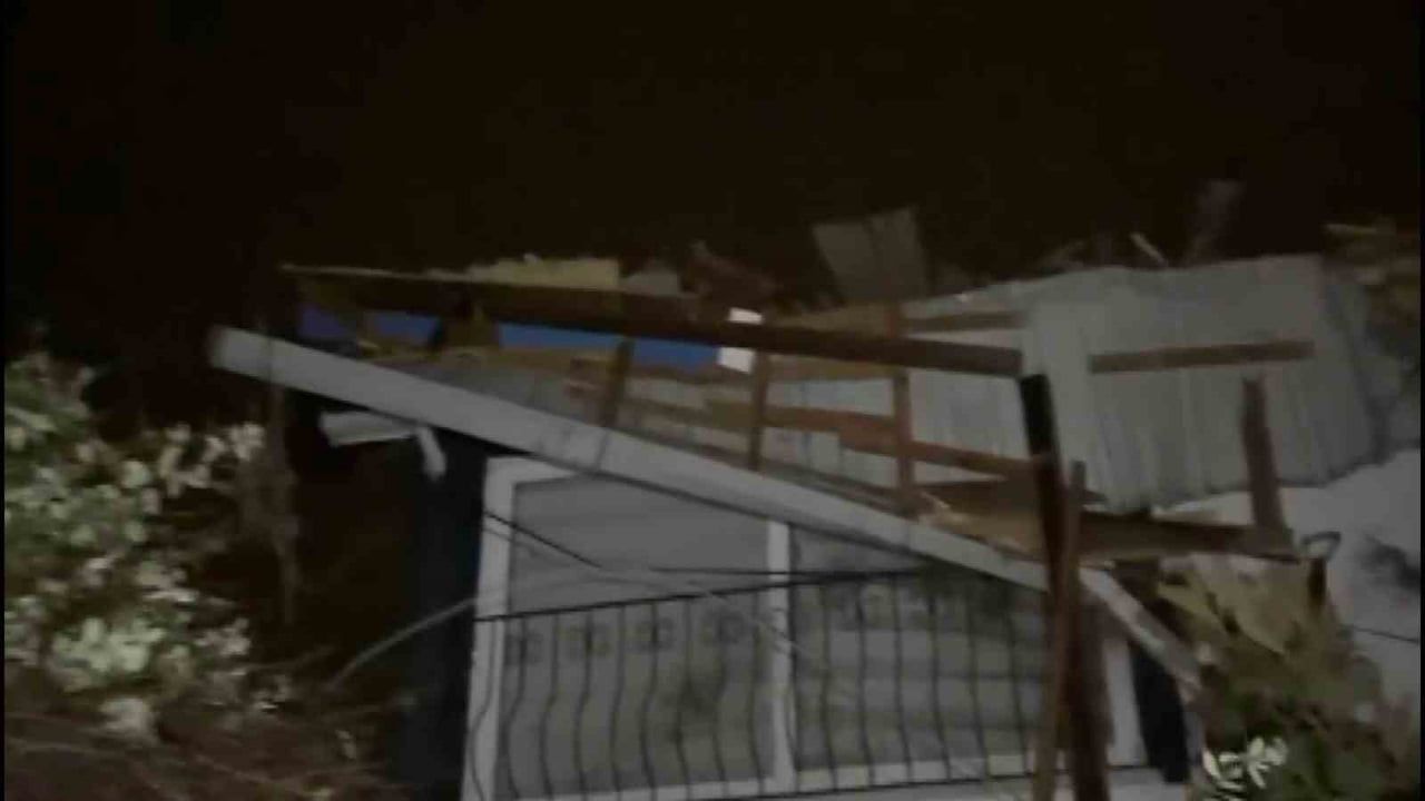 Samsun'da akşam fırtınası: Çatılarda zarar, ağaçlar devrildi