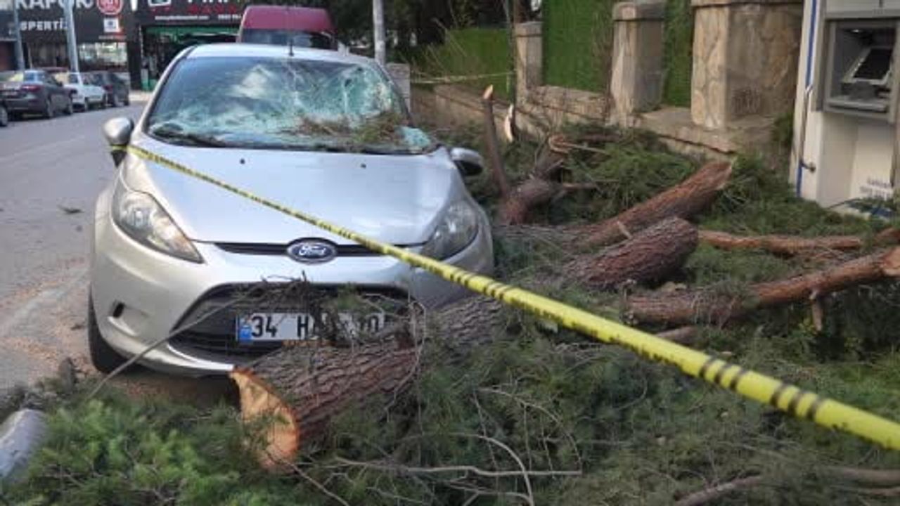 Samsun'da fırtına park halindeki otomobile zarar verdi, bazı çatılar uçtu