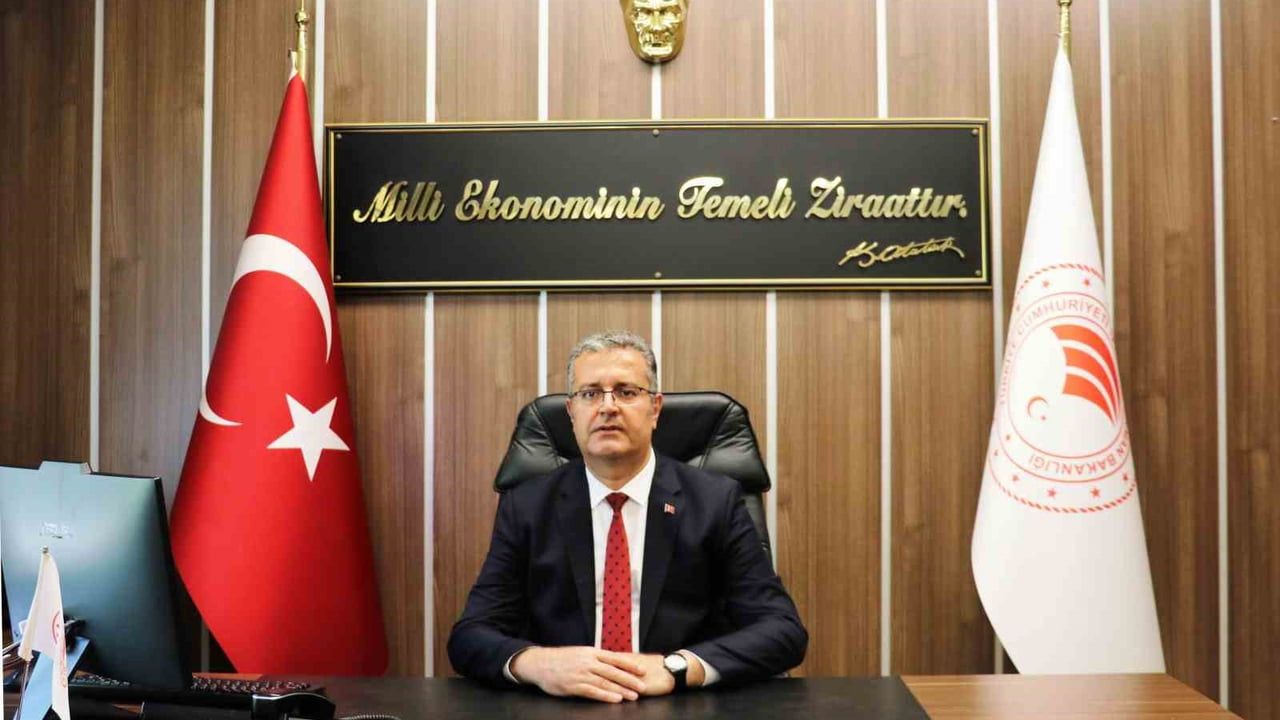 Samsun'da kenevir üretimi için başvurular 1 Nisan 2026'da sona eriyor