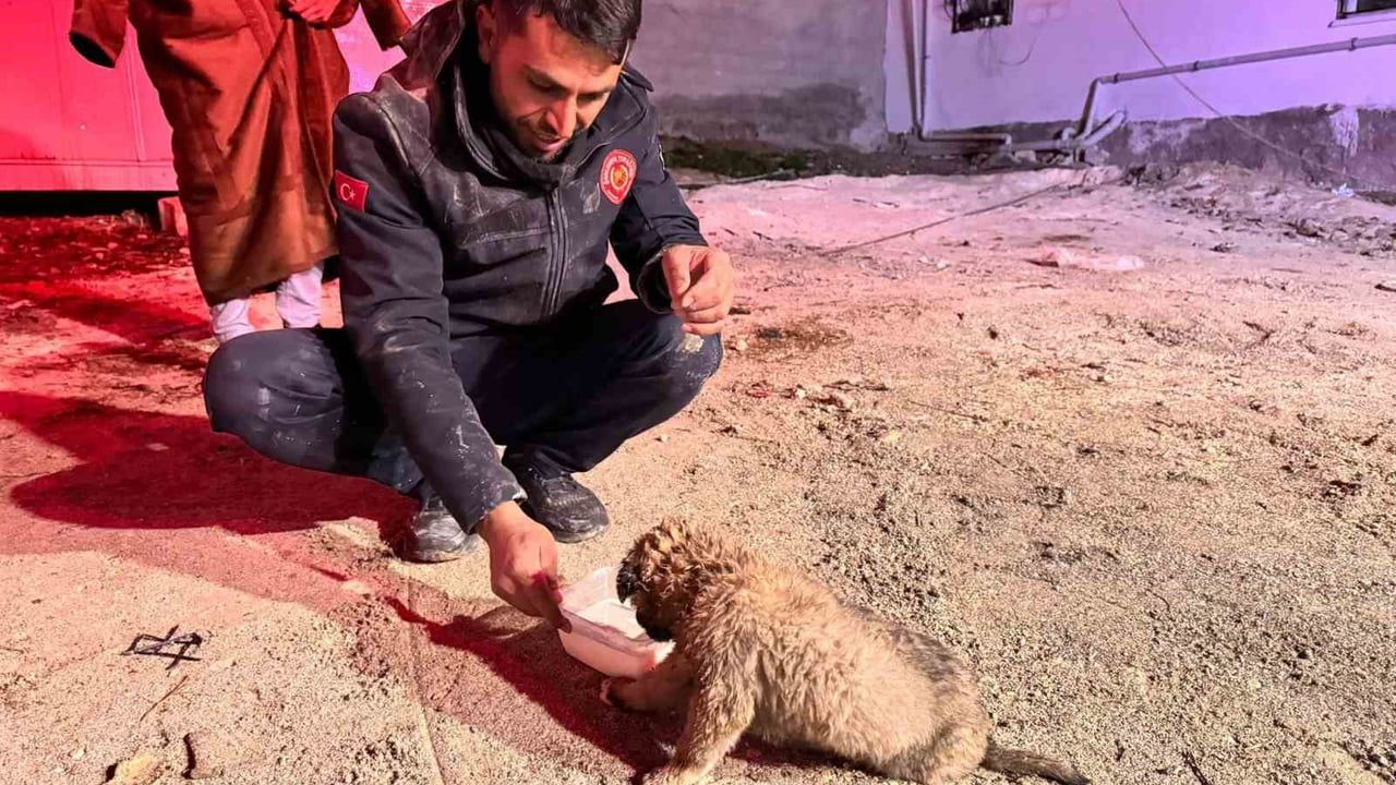 Şanlıurfa’da 20 metrelik sondaj kuyusuna düşen yavru köpek itfaiye ekiplerince kurtarıldı
