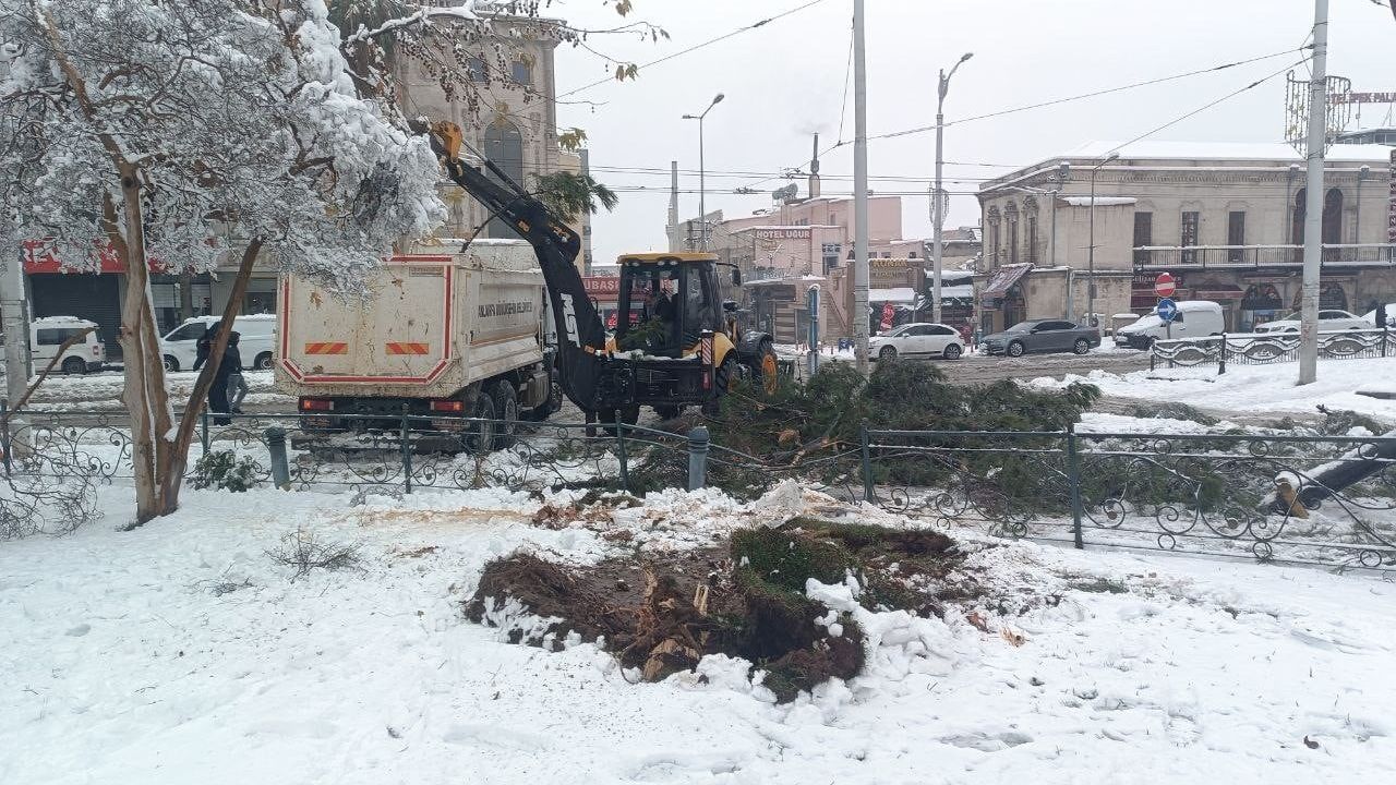 Şanlıurfa'da yoğun kar: Ağaçlar devrildi, ulaşım önlemleri alındı