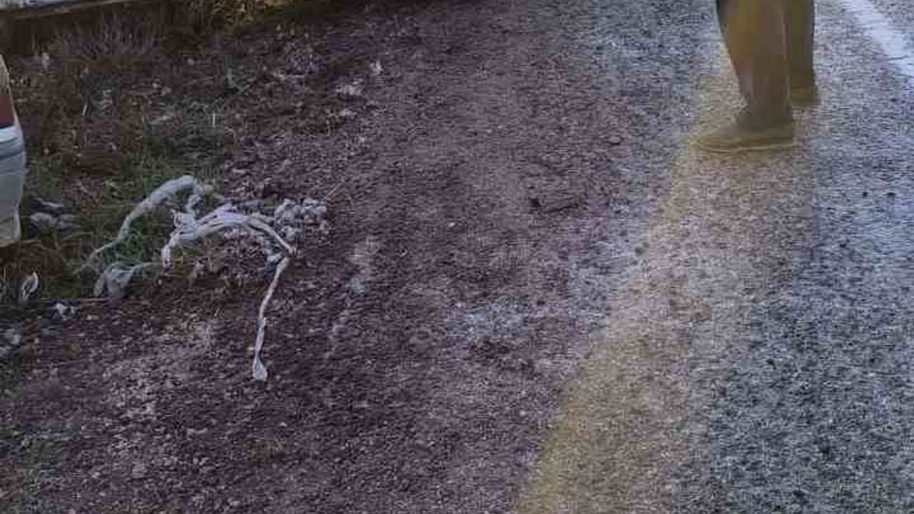 Şanlıurfa'da yol buzlanması: 4 kazada 7 kişi yaralandı