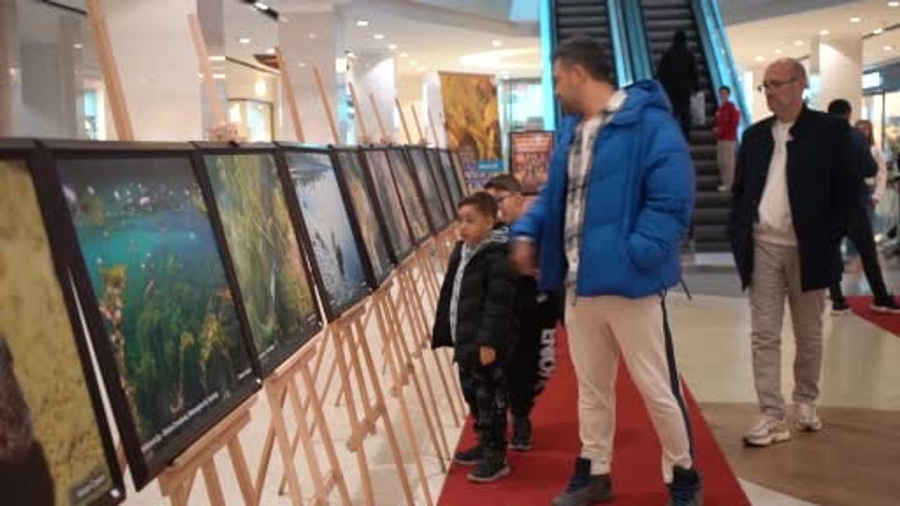 Sapanca Gölü su altı fotoğraflarıyla 'Sakarya’den Gazze’ye' sergisi: Gelirler Gazze'deki yetim ve öksüz çocuklara bağışlanacak