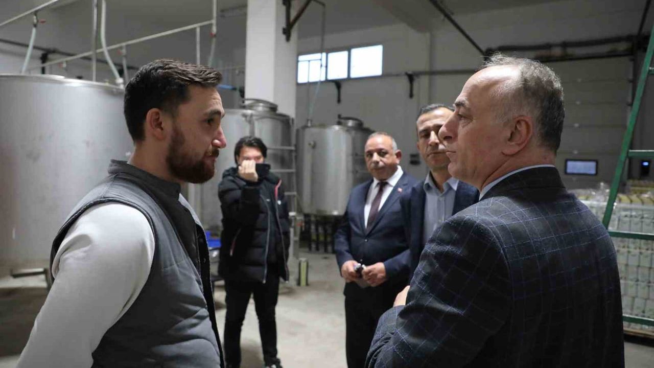 Sarıcakaya’da zeytin ve zeytinyağı üretimi artıyor: tesisler, fidan desteği ve üretici örgütlenmesi değerlendirildi