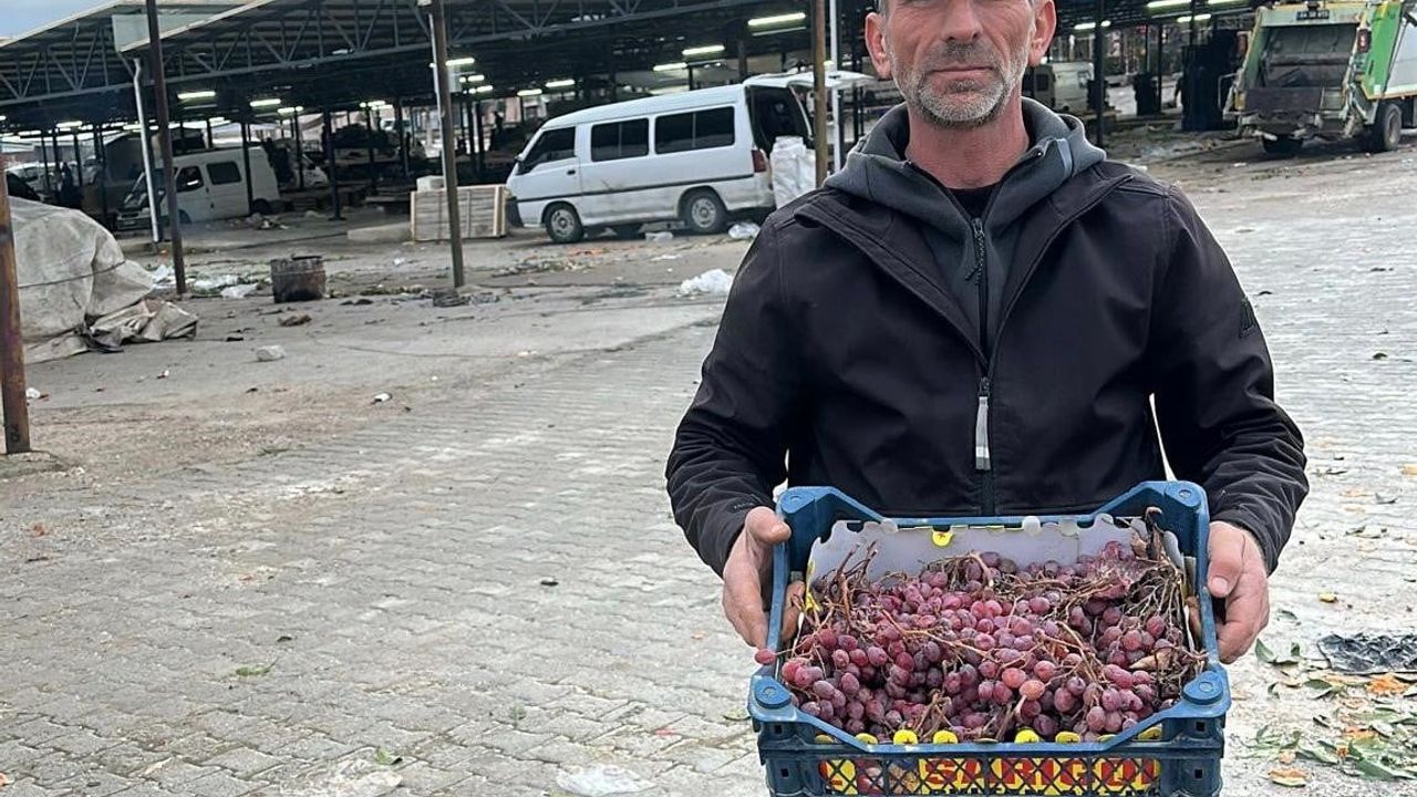 Sarıgöl'de üretici Musa Topdemir 70 dönüm bağında 2025 üzümlerinin hasadını 2026 Ocak'ta tamamladı