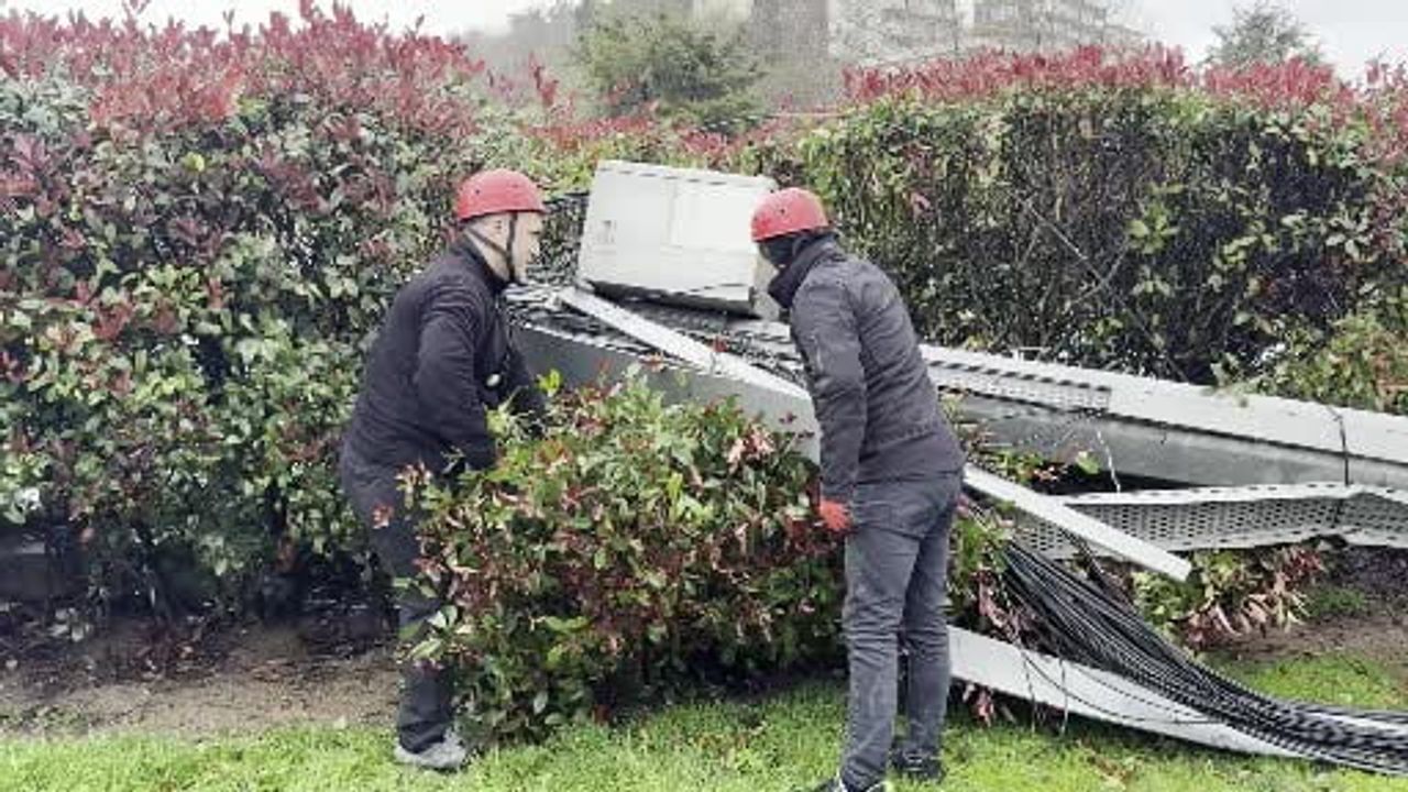 Sarıyer Baltalimanı'nda fırtına hasarı: baz istasyonu ve ağaç devrildi