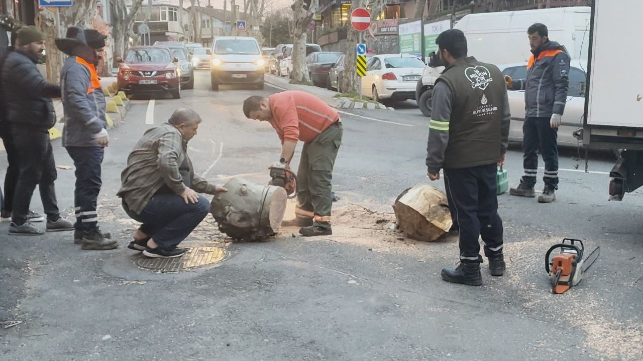 Sarıyer'de çınar ağacı otomobilin üzerine devrildi; devrilme anı kamerada