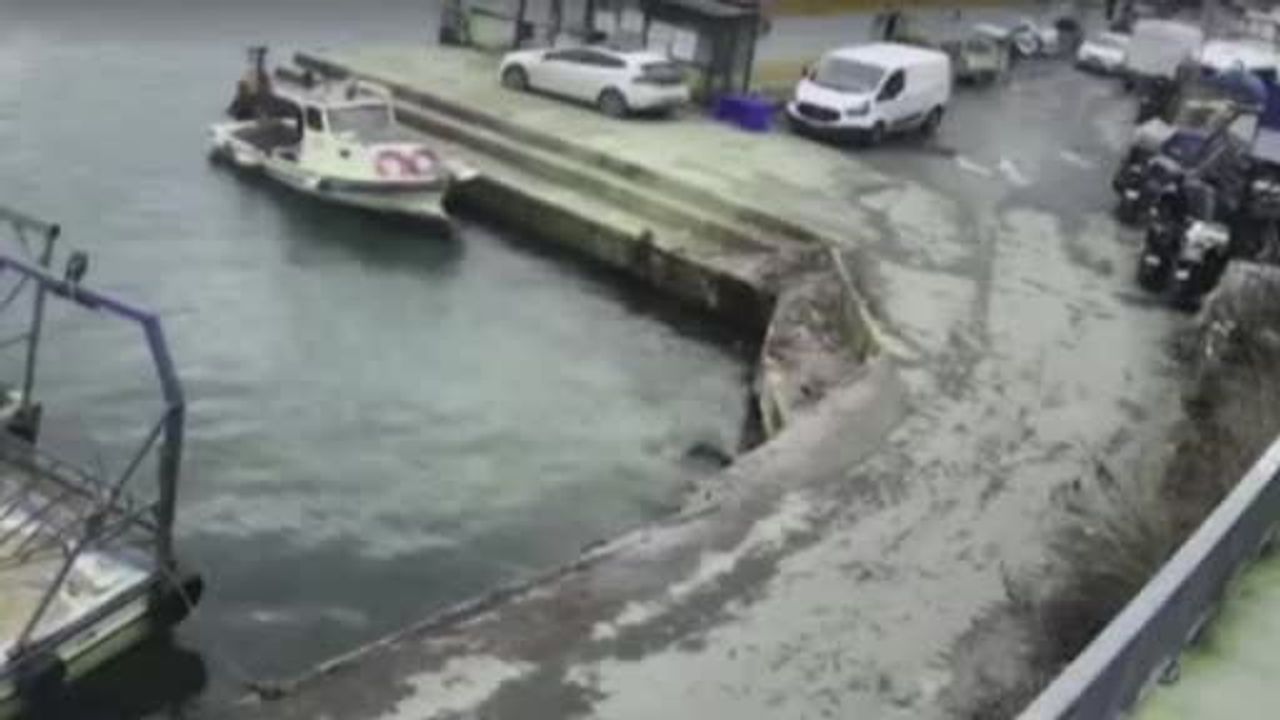 Sarıyer'de denize düşen araç: Çevredekiler sürücüyü kurtarmak için seferber oldu