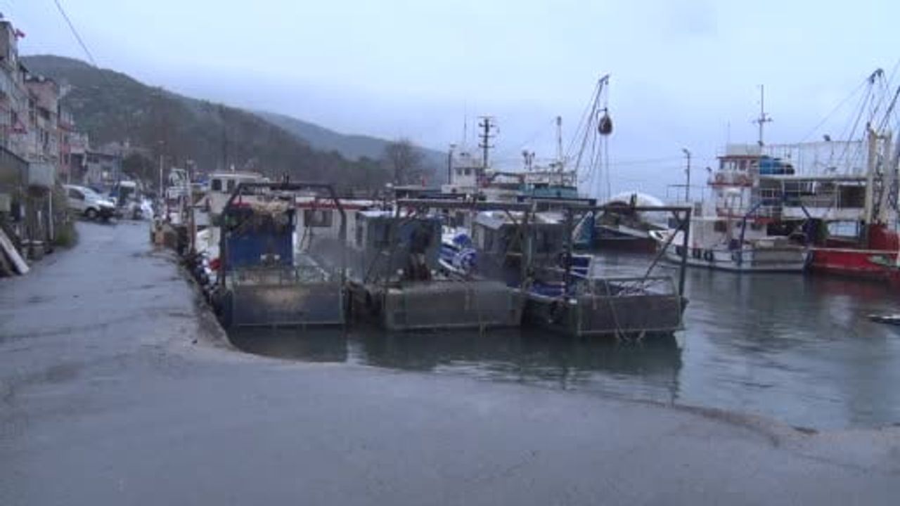 Sarıyer Rumelikavağı'nda denize düşen otomobilin sürücüsü vatandaşların müdahalesiyle kurtarıldı