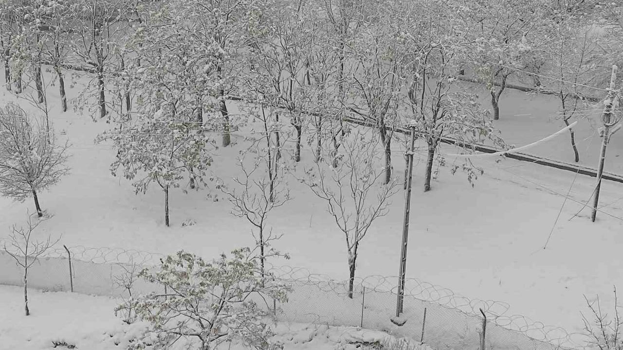 Sason'da iki gündür süren kar yağışı köy ve mezra yollarını kapattı