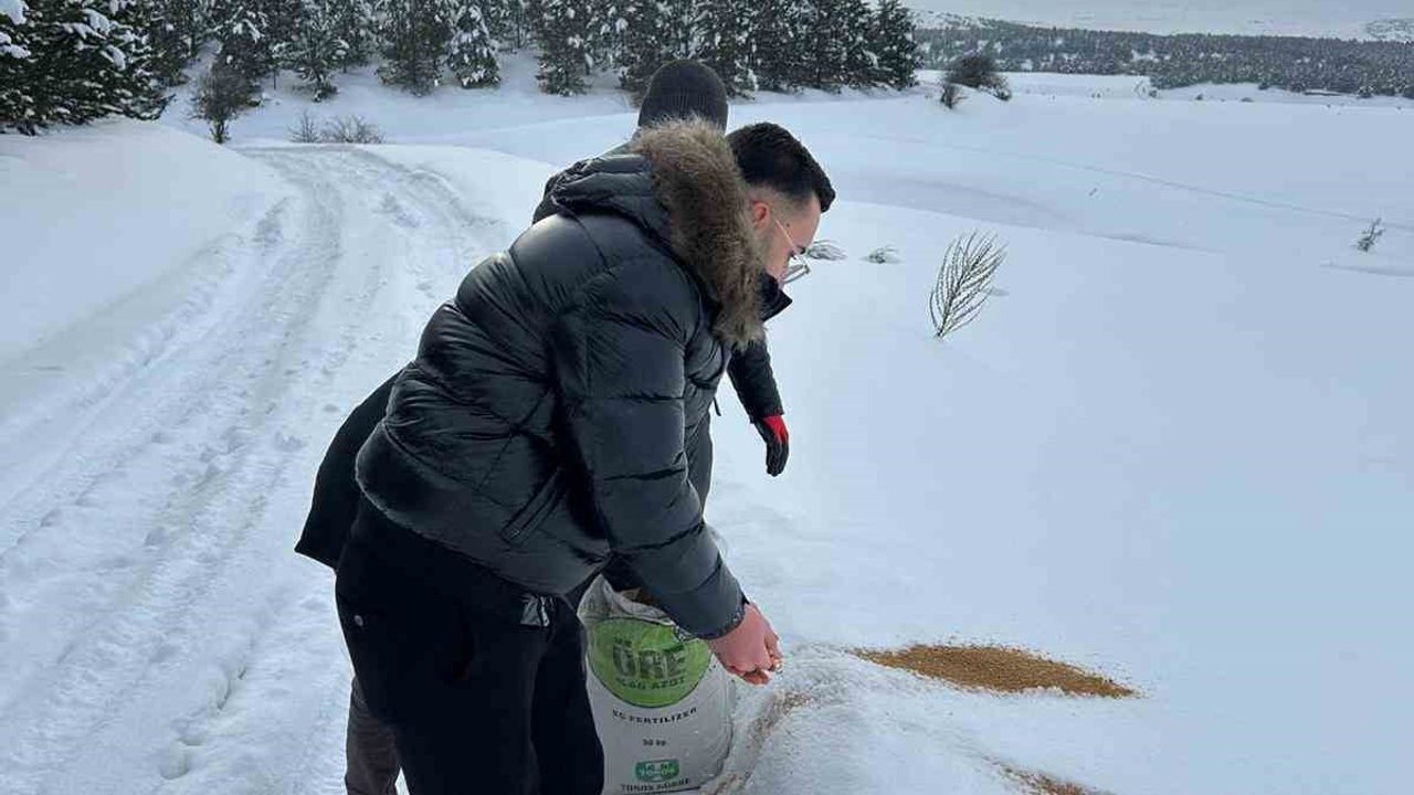 SCÜ Veteriner Fakültesi, kış koşullarında yabani hayvanlar için kentte yemleme yaptı