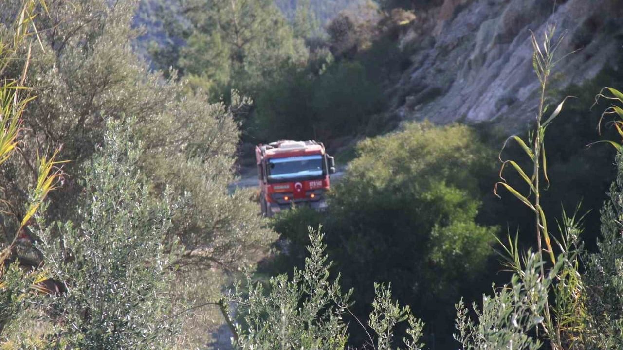Serik'te orman yangını 2 hektarlık kızılçam ormanını etkiledi