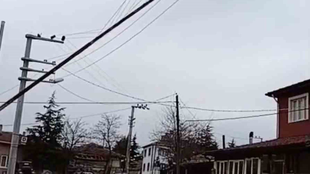 Seyitgazi'de 30 metrelik bayrak direği fırtınada devrildi, elektrik tellerine çarptı